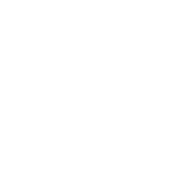 Blue Ship Logistics